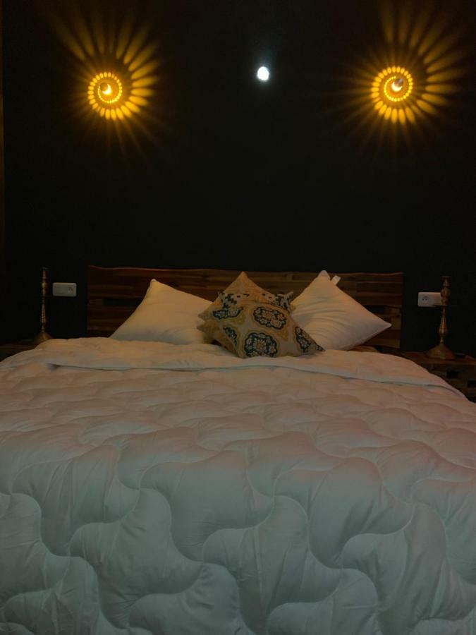 Diane Luxury 1 Roubaix